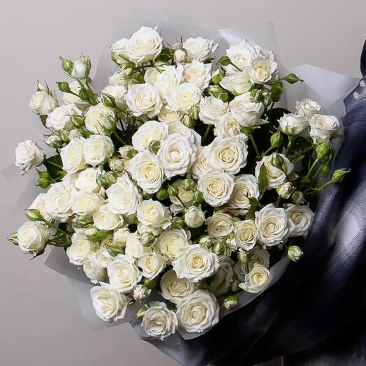 White Baby Roses