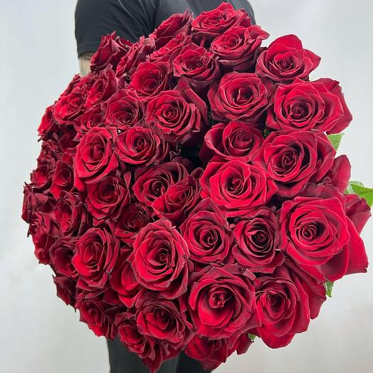 Роскошные красные розы под ленту 🌹 (х51 / Premium)