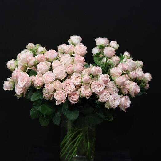 Spray roses "Bombastic"