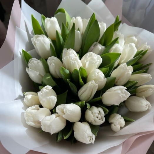 Tulips white 29 stems