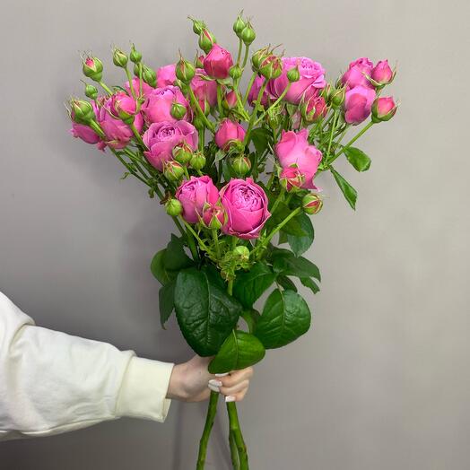 РОЗА КУСТОВАЯ 70 см 3 шт