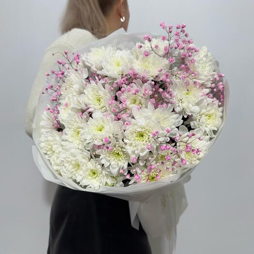 Crisantemo blanco como la nieve y gypsophila rosa en el diseño