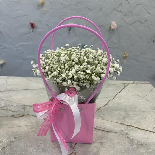 Сумочка с гипсофилой 🌸
