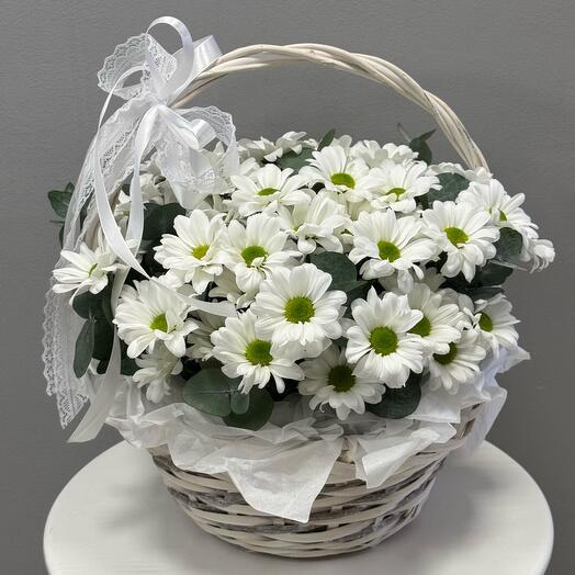 Chrysanthemum basket with eucalyptus