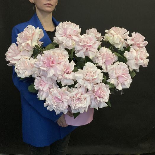 Французские розы в коробке
