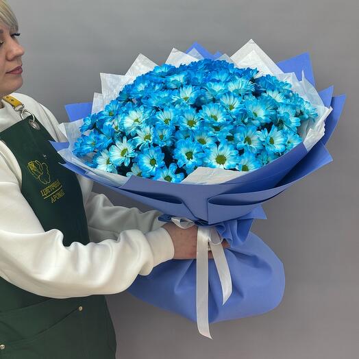 ШЕДЕВР - МоноБукет! Голубая хризантема Бакарди