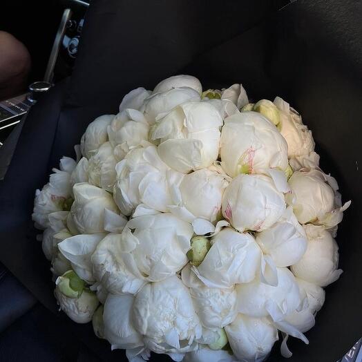 White peonies