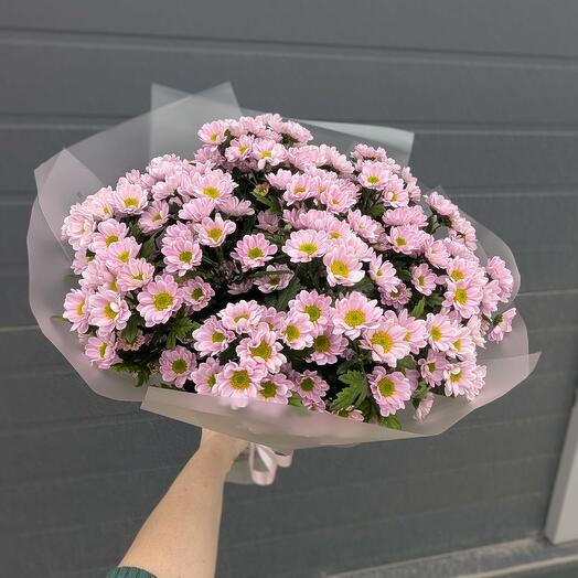Букет 25 Сантини