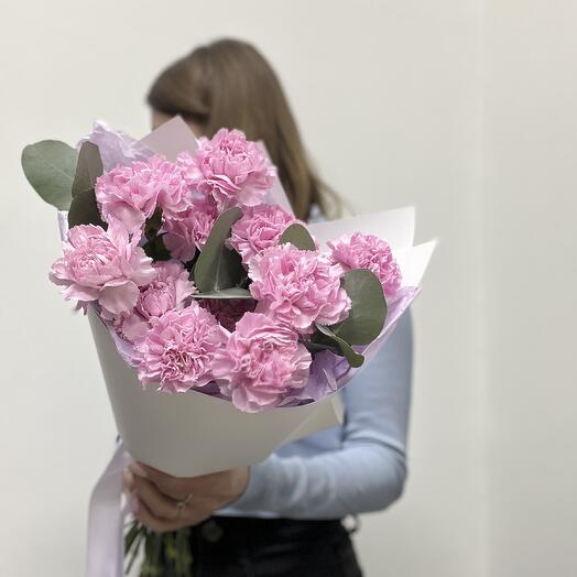 Диантусы розовые S