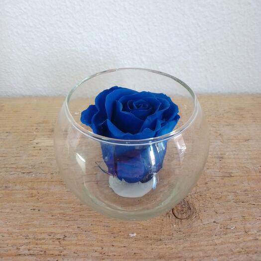 Rosa eterna en bol de cristal