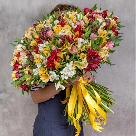 51 Альстромерия