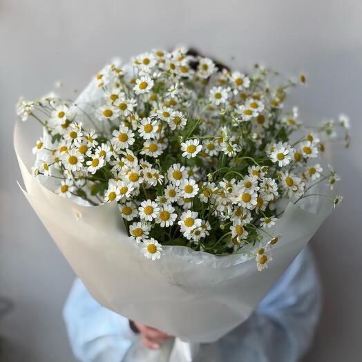 Ромашки 🌼😍, 8 марта