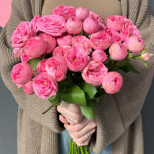 Bush roses