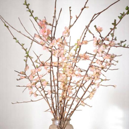 Magnolia branches (flowering)