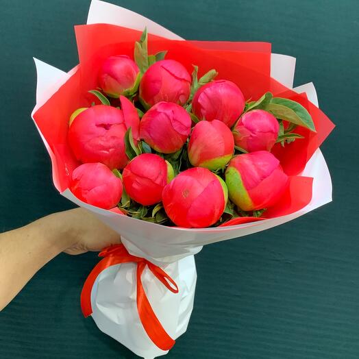 Пионы коралловые 11