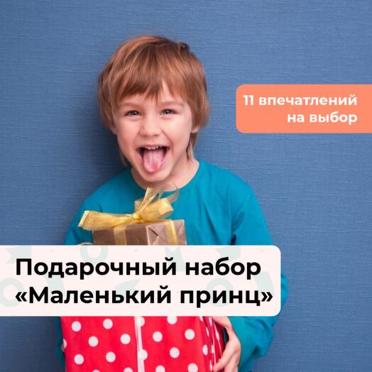 Маленький принц. Подарочный набор для мальчика 11 в 1