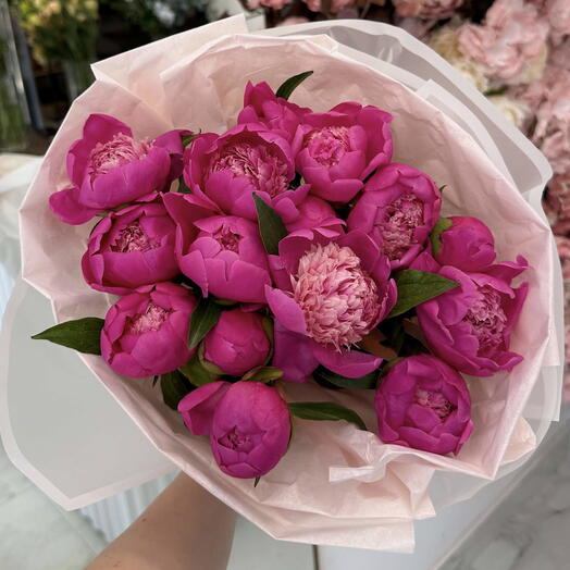Пионы розовые 15 шт