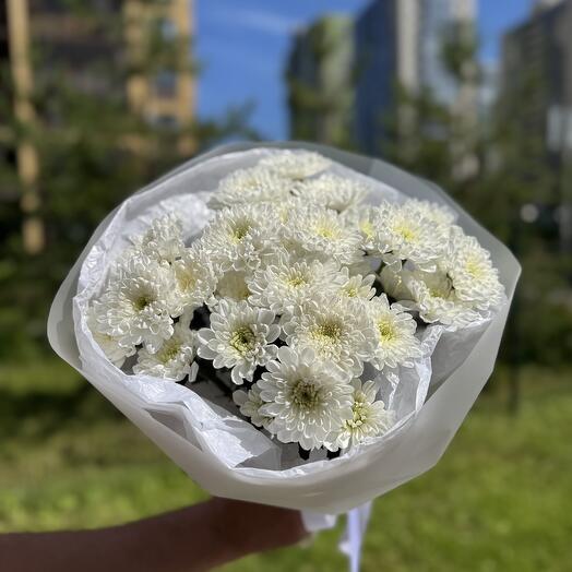 Хризантемы белые