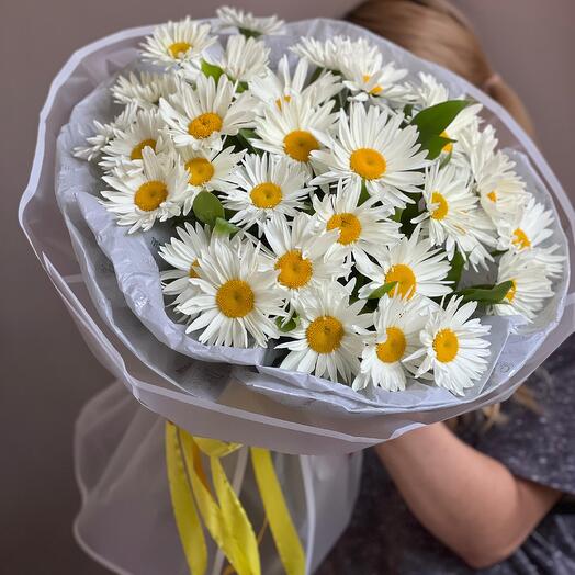 Ромашки (3)