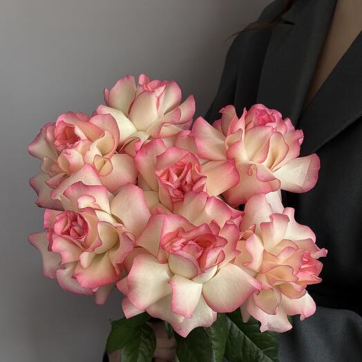 Роза Французская под ленту🌸