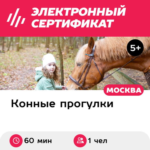 Подарочный сертификат Конная прогулка для 1 человека в составе группы (60 мин.)