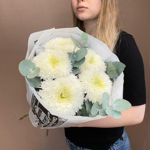 5 одноголовых хризантем