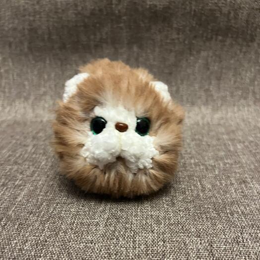 Котик-колобок рыжий