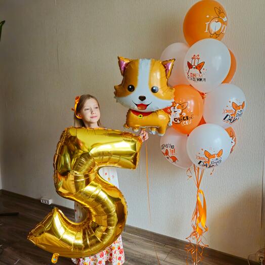 Гелевые шары с корги на 5лет ребёнка, на день рождения дочке,сыну,мальчику-12 шаров