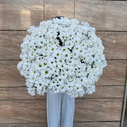 Моно букет ромашковых хризантем