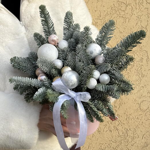 Нобилис в коробке🎄