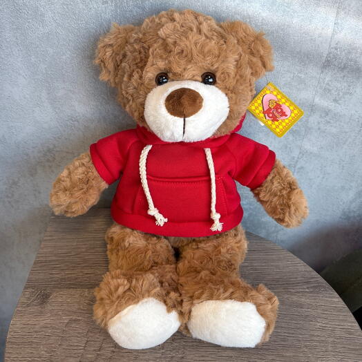 Коричневый мишка в толстовке🧸