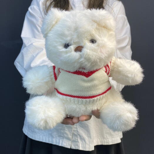 Мишка в свитере 26