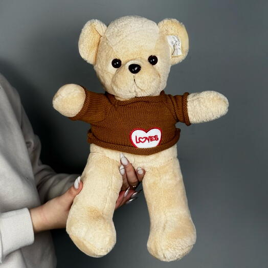 Медвежонок в свитере (S)