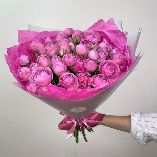 Пиономания💞