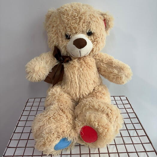 Медведь Карл