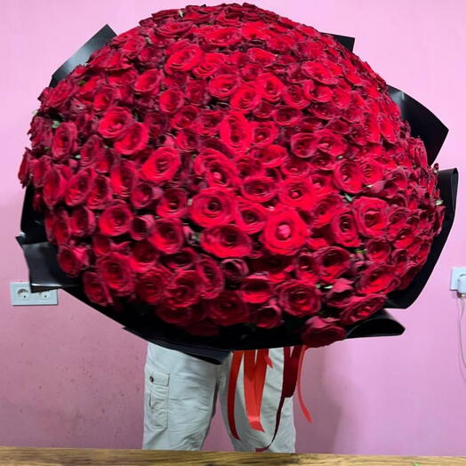 300 red roses