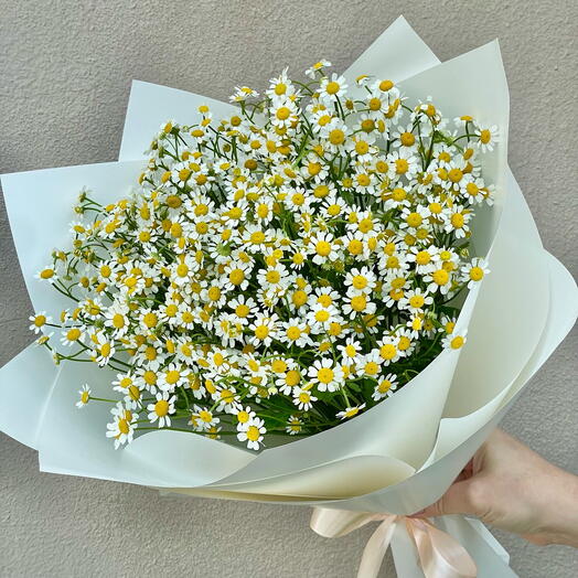 Bouquet of "Daisies"