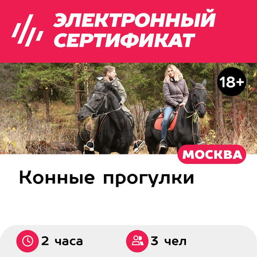 Подарочный сертификат Прогулка на лошади и катание на квадроцикле для 3 человек (2 часа)