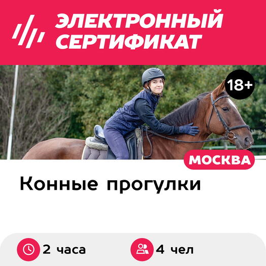 Подарочный сертификат Индивидуальный конный поход с привалом, 4 чел. (2 часа) (Москва)