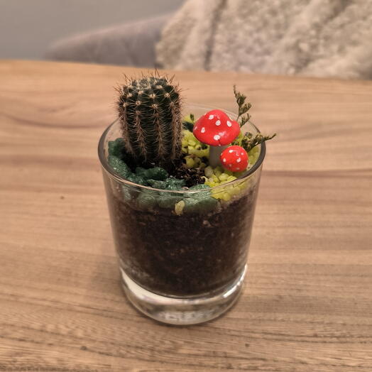 Кактус с декоративными мухоморами