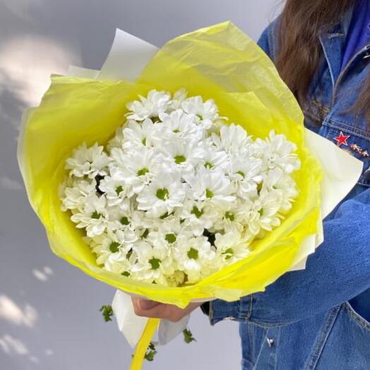 Утреннее солнышко 💛 белые хризантемы в яркой упаковке (7 шт)