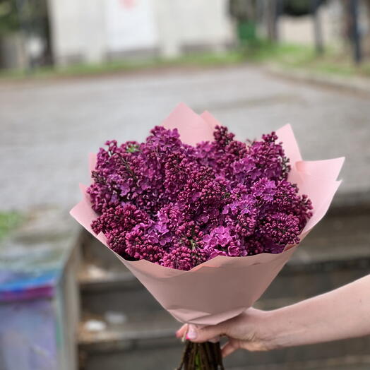 Сирень.💜