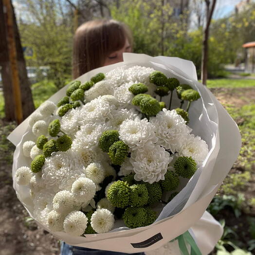Моно хризантем