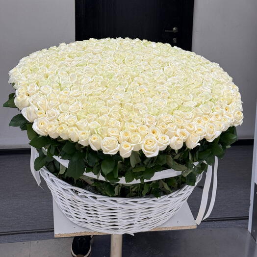 Корзина из 501розы