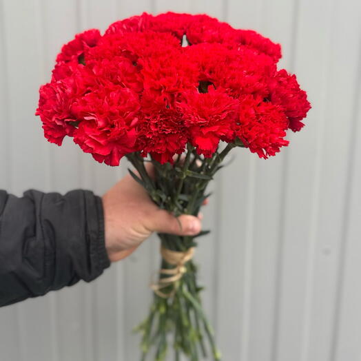 20 красных гвоздик