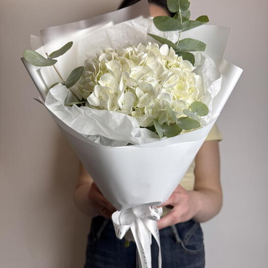 Букет из 1 гортензии белой🌸