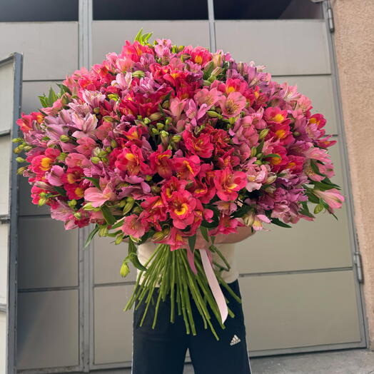 Яркая альстромерия 🌸
