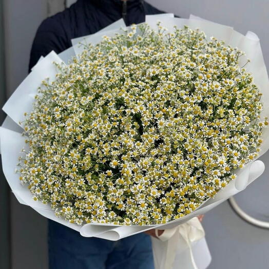 Букет из ромашек 51 шт