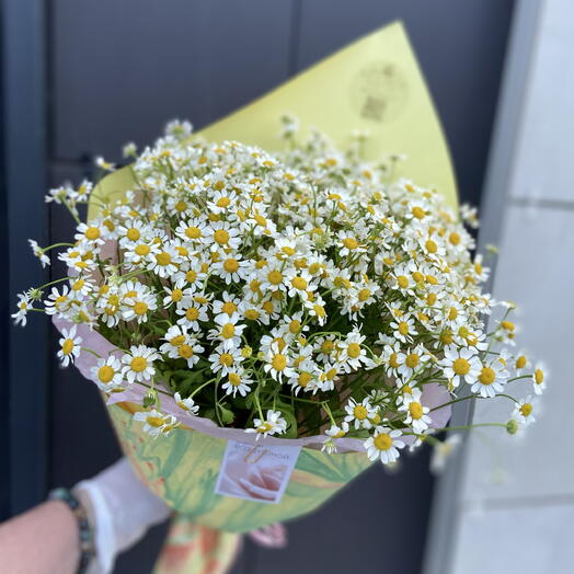 Букет «Ромашковый сон»