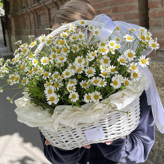 Корзинка полевая